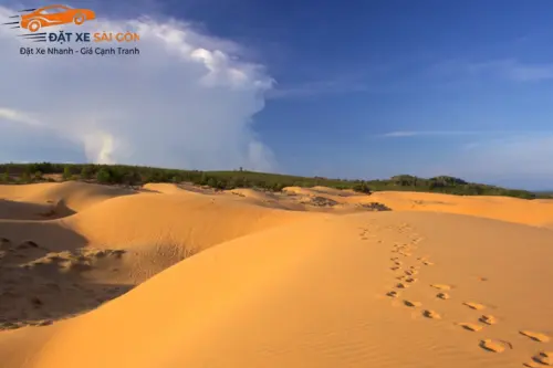 thuê xe đi Mũi né du lịch