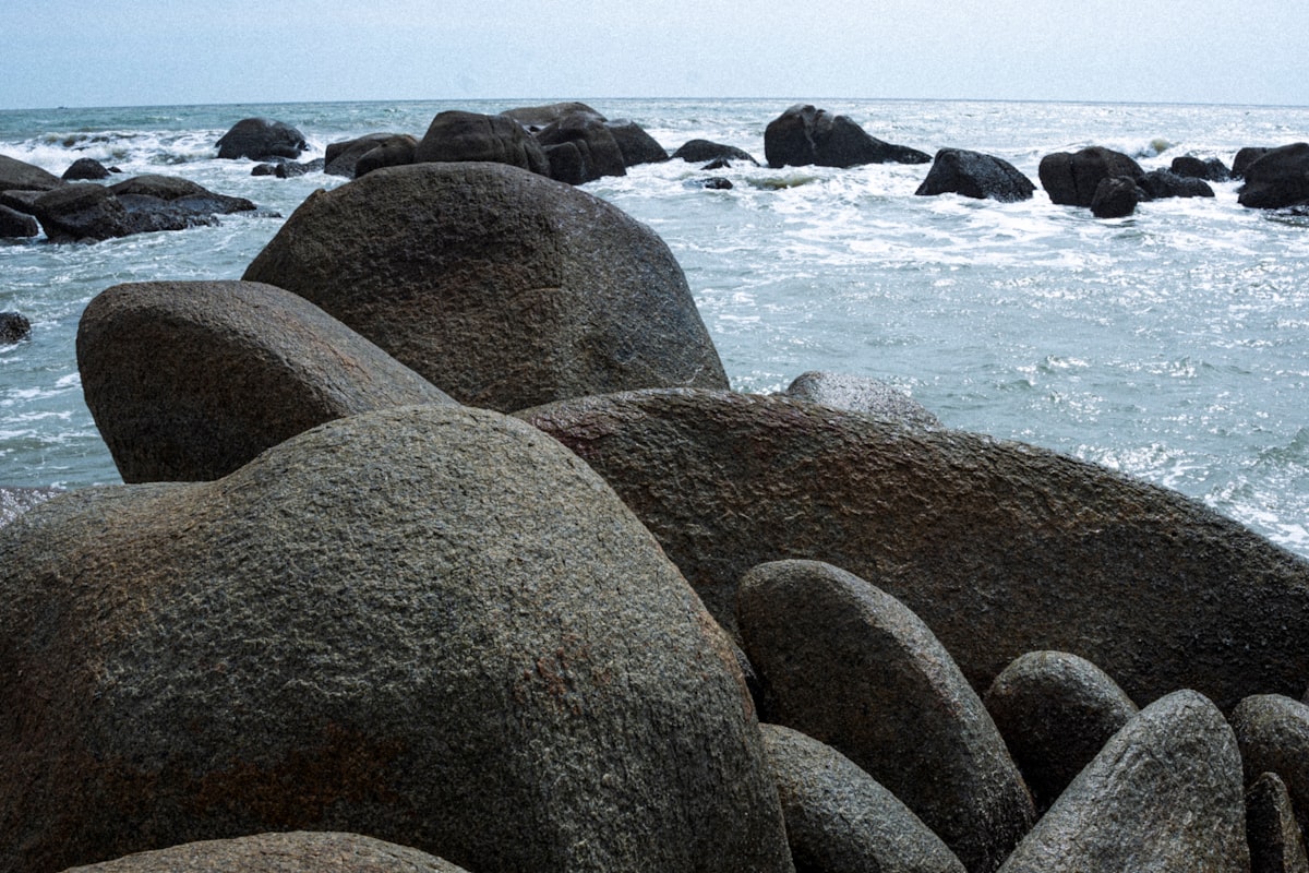 Bãi Dứa Vũng Tàu